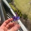 Small image 7