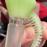 Small image 6