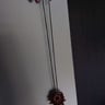 Small image 6