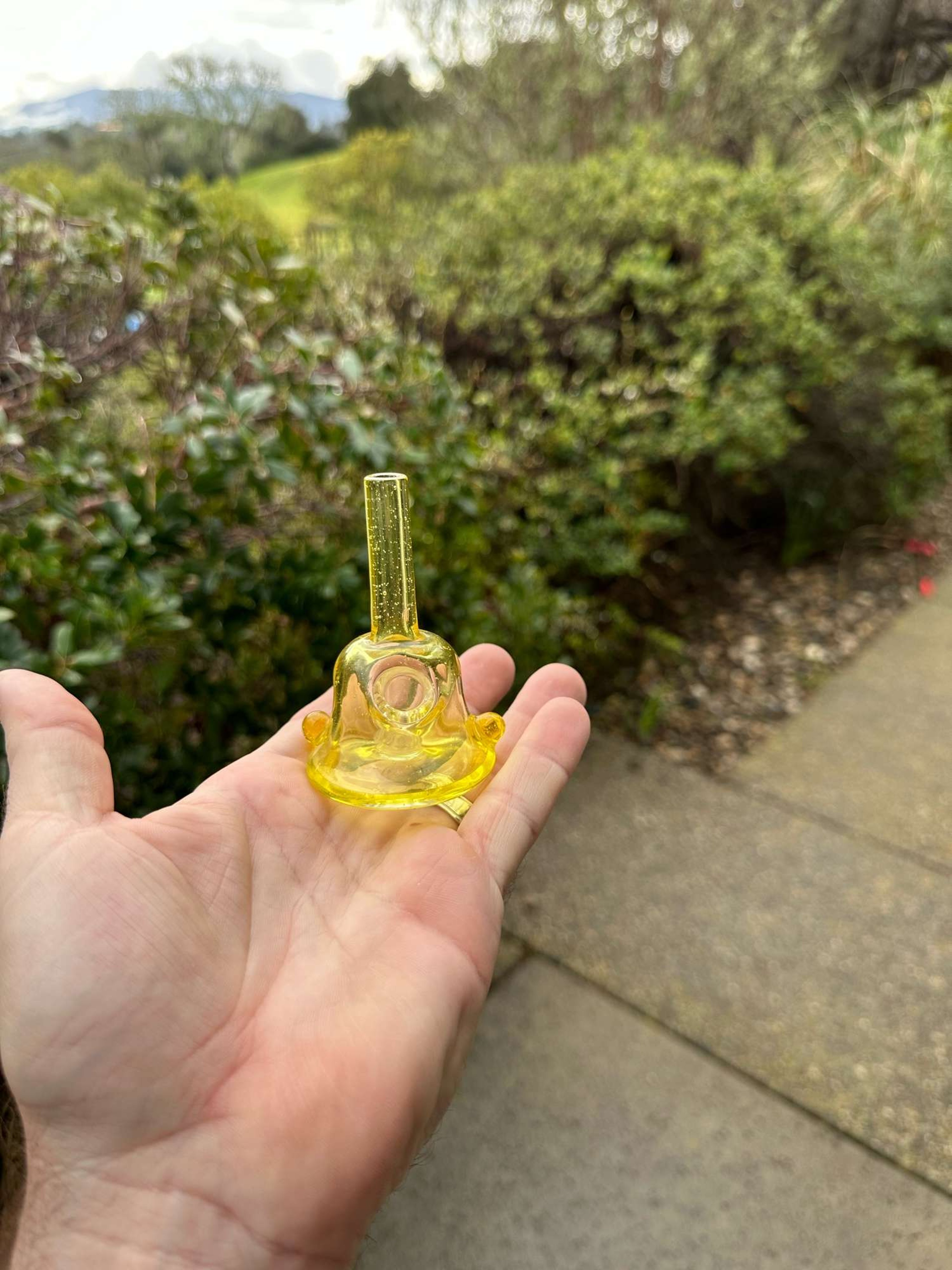 Preview pic of Flexer Jones Rig 