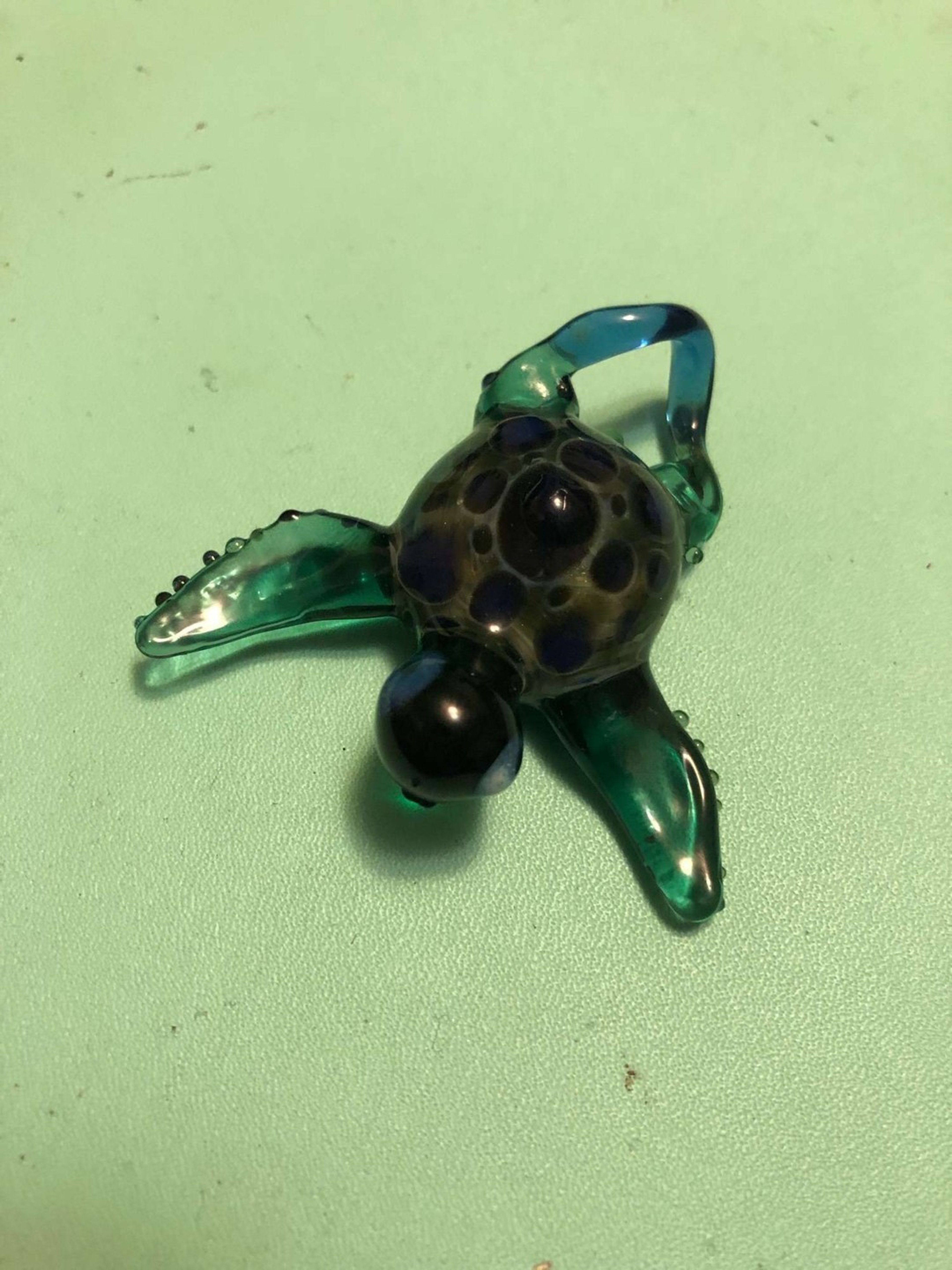 Turtle image 0