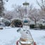 Small image 5