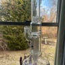 Small image 6