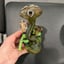 Small image 4