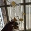 Small image 6