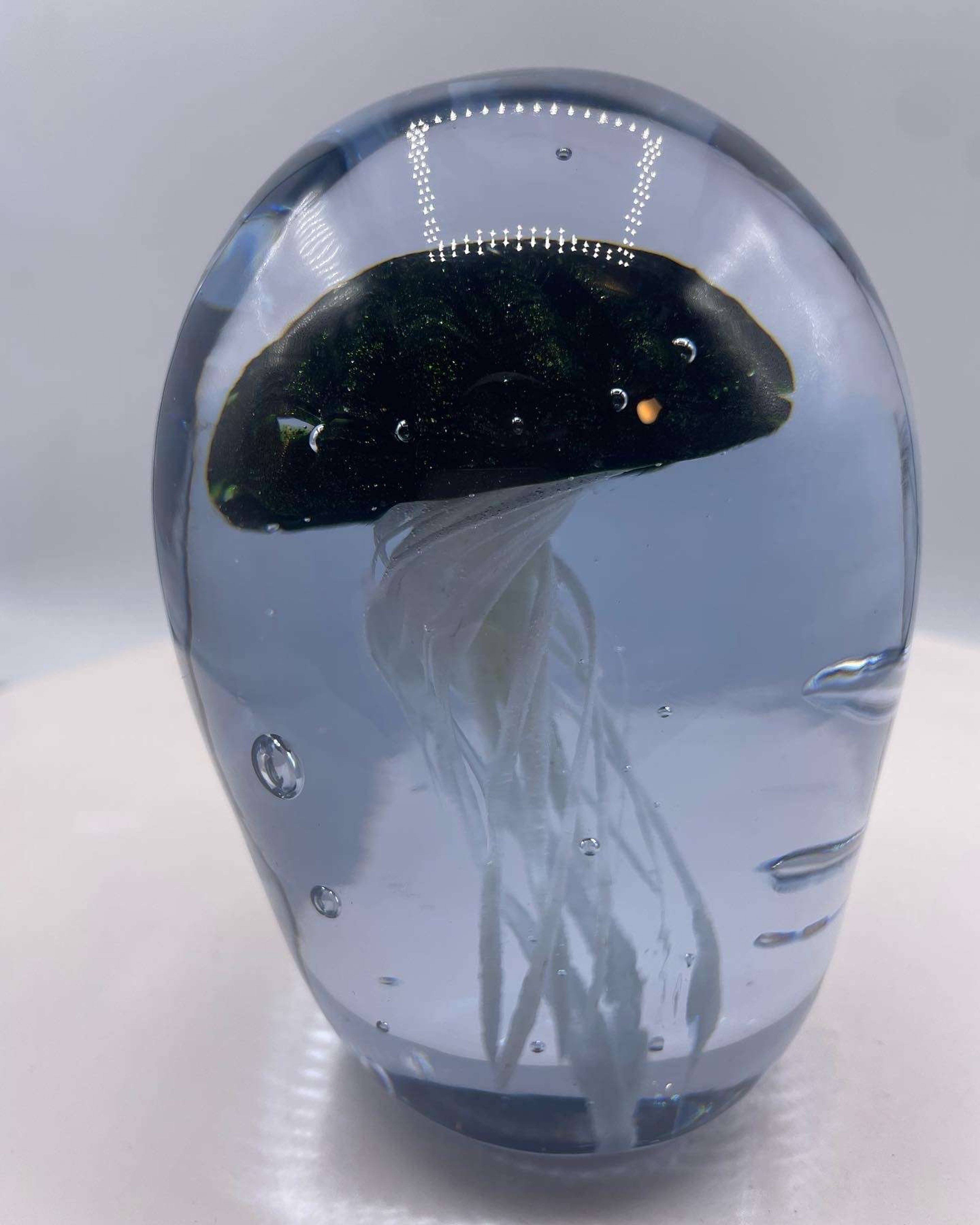 Jellyfish image 0