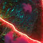 Small image 6