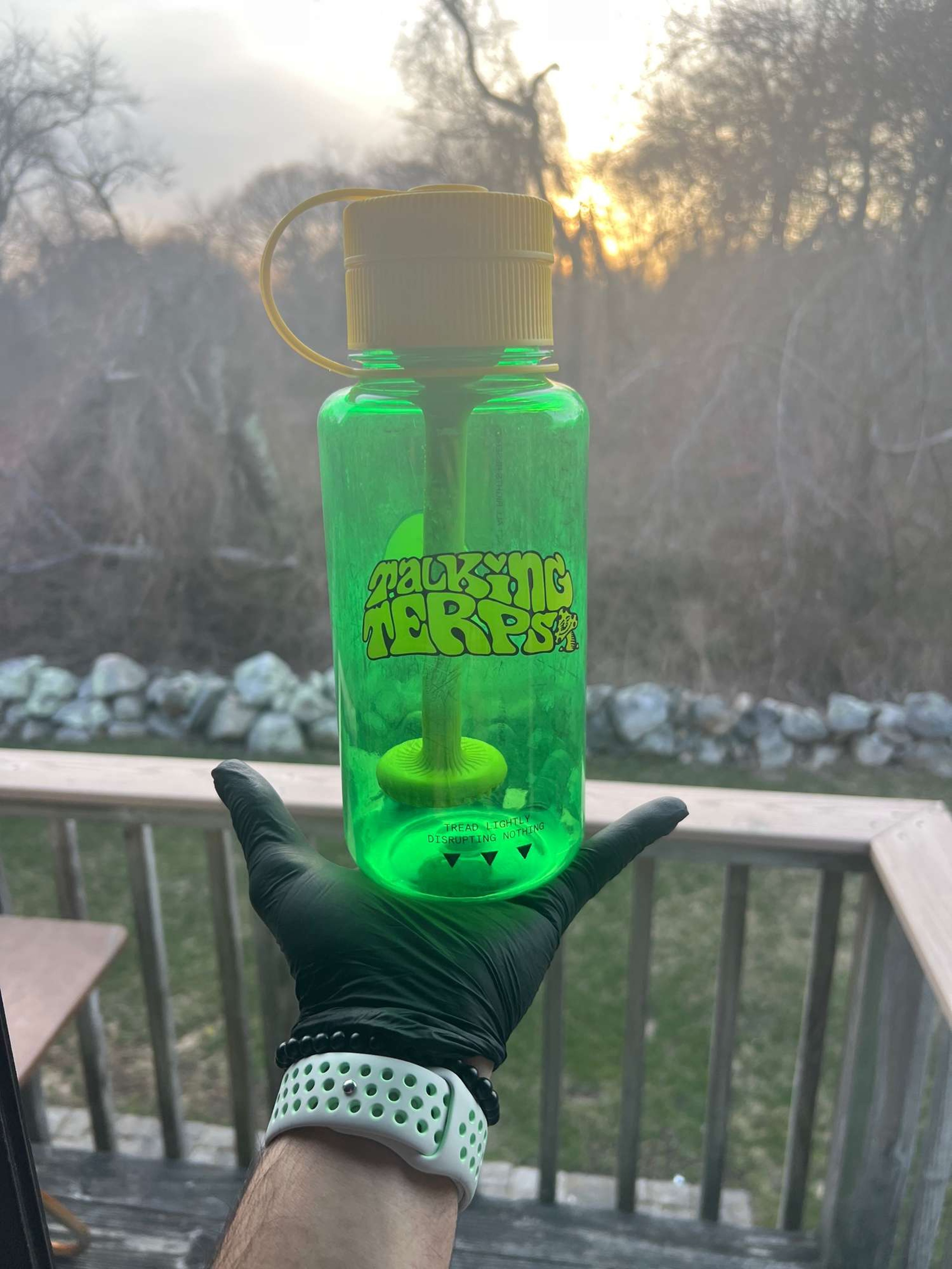 Talking Terps x Puffco Budsy Limited Edition image 0