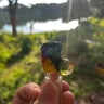 Small image 0