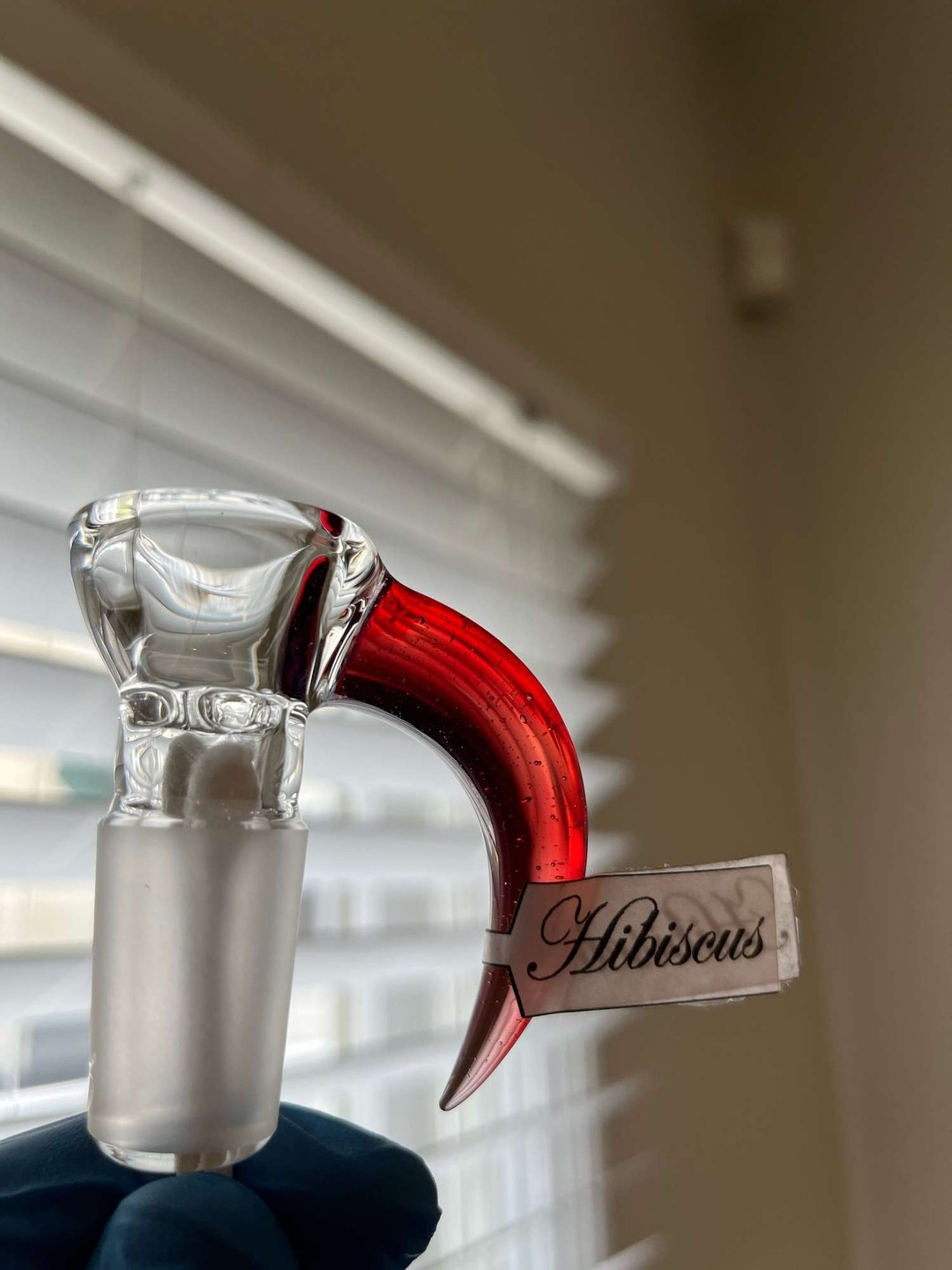 Sov Hibiscus image 0