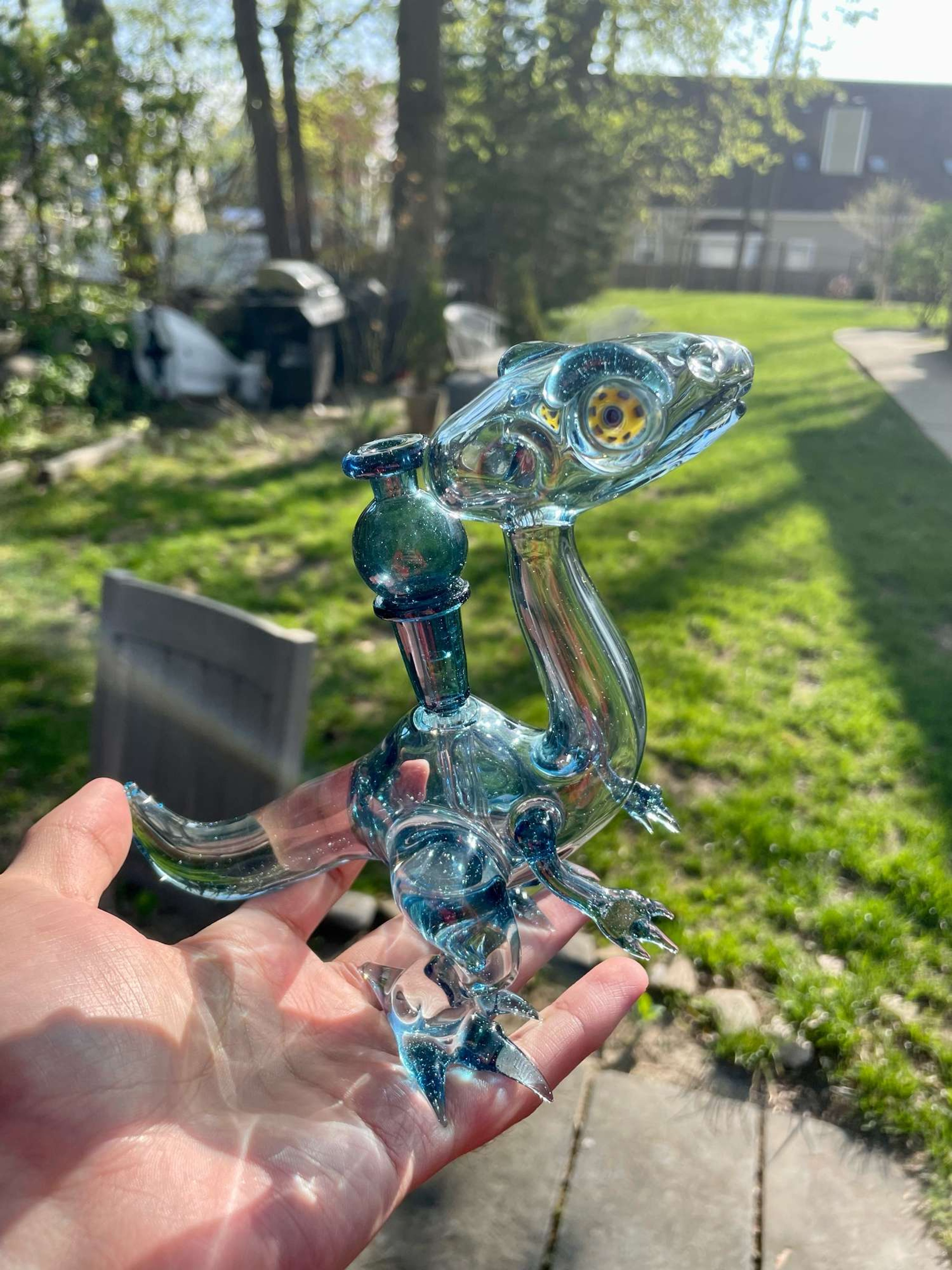 Dan evans blue stardust raptor w/ cap & case image 0