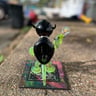 Small image 0