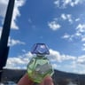 Small image 1