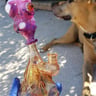 Small image 0