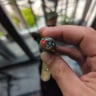 Small image 3