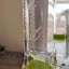 Small image 6