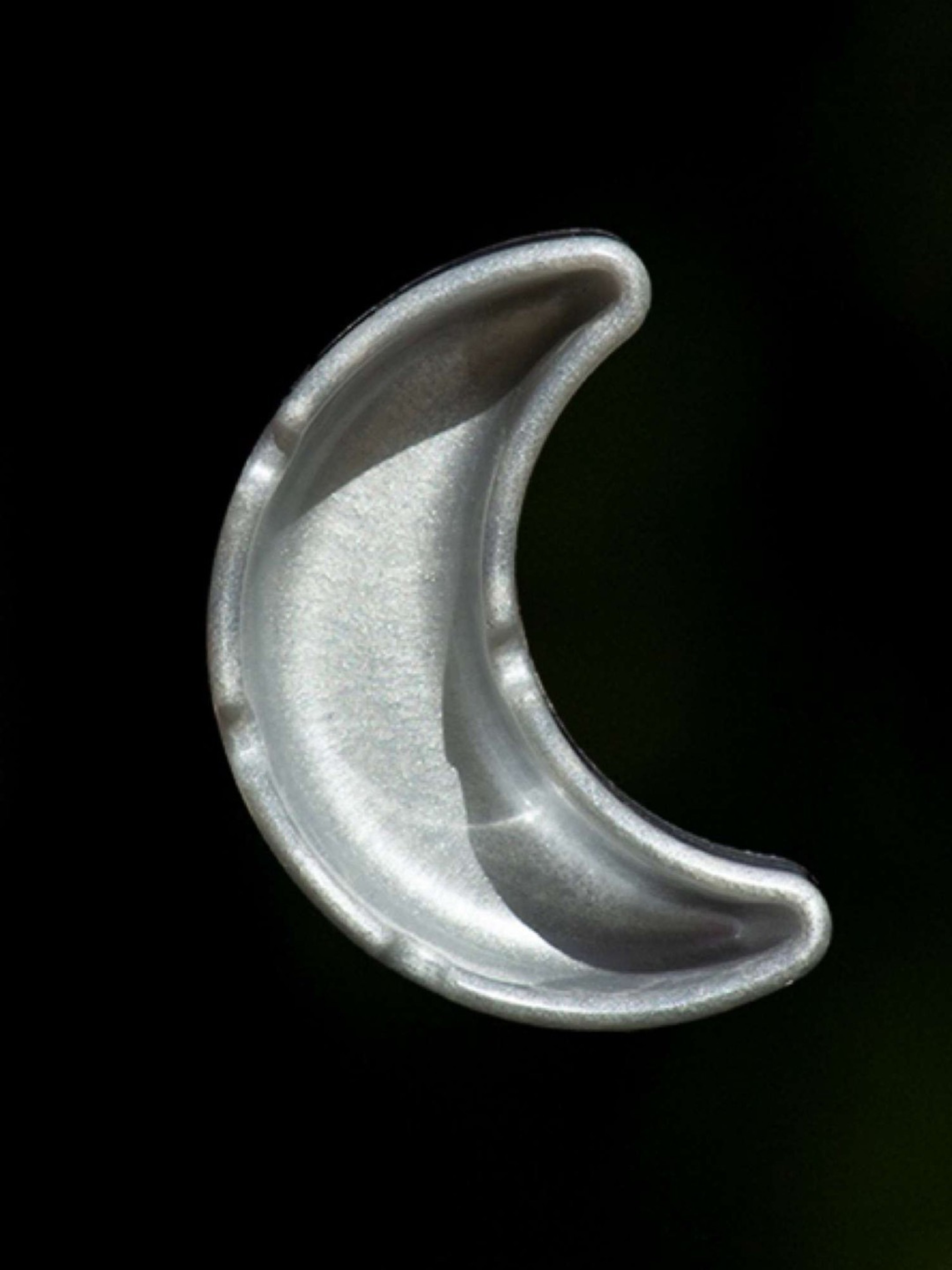 Crescent Kissmyassh.tray in Silver image 0