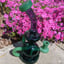 Small image 6