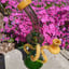 Small image 7