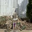 Small image 7