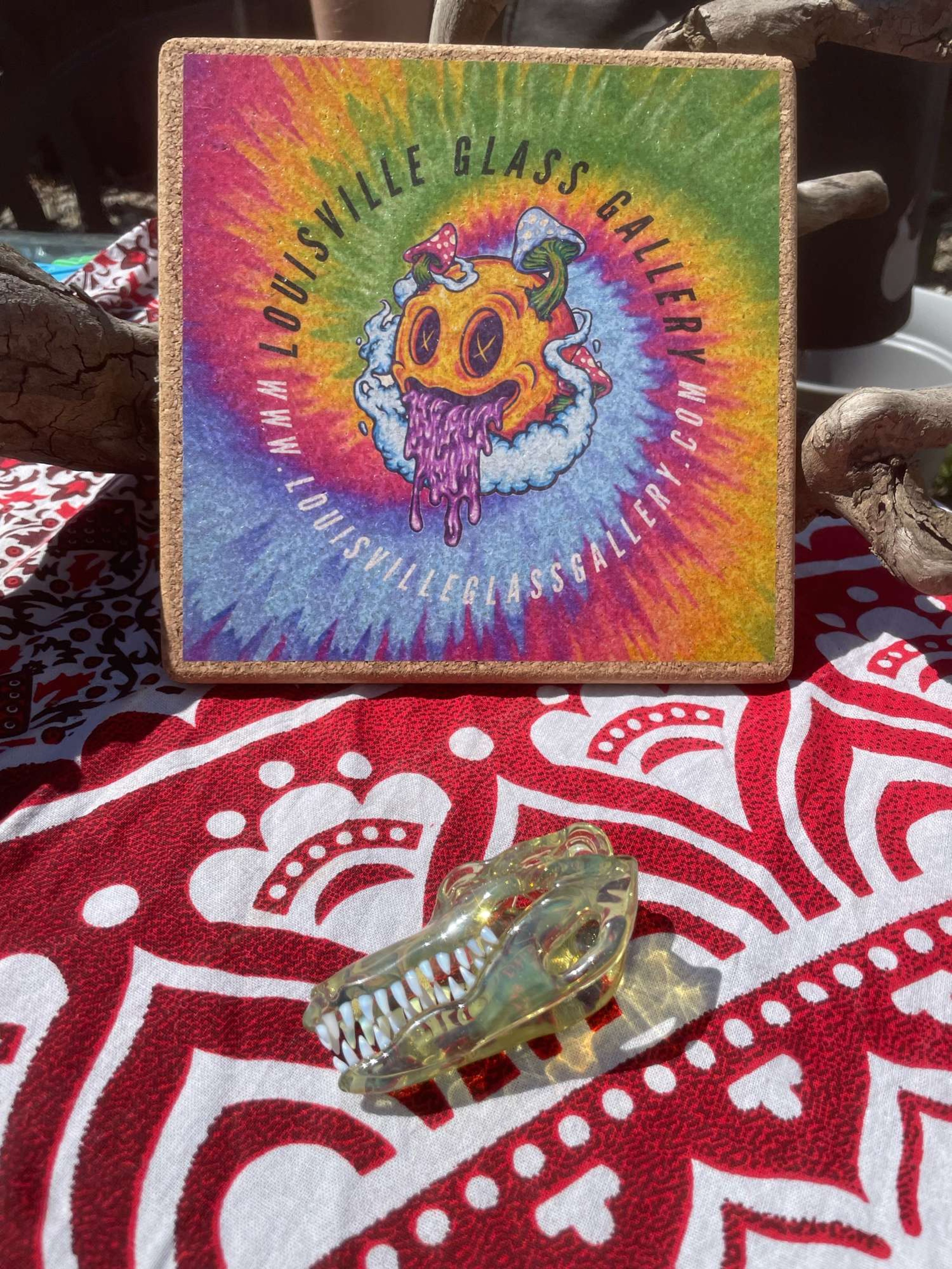 Sunset slyme gator image 0