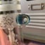 Small image 4