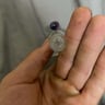 Small image 6
