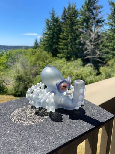 Preview pic of Paciniglass octopus in potion