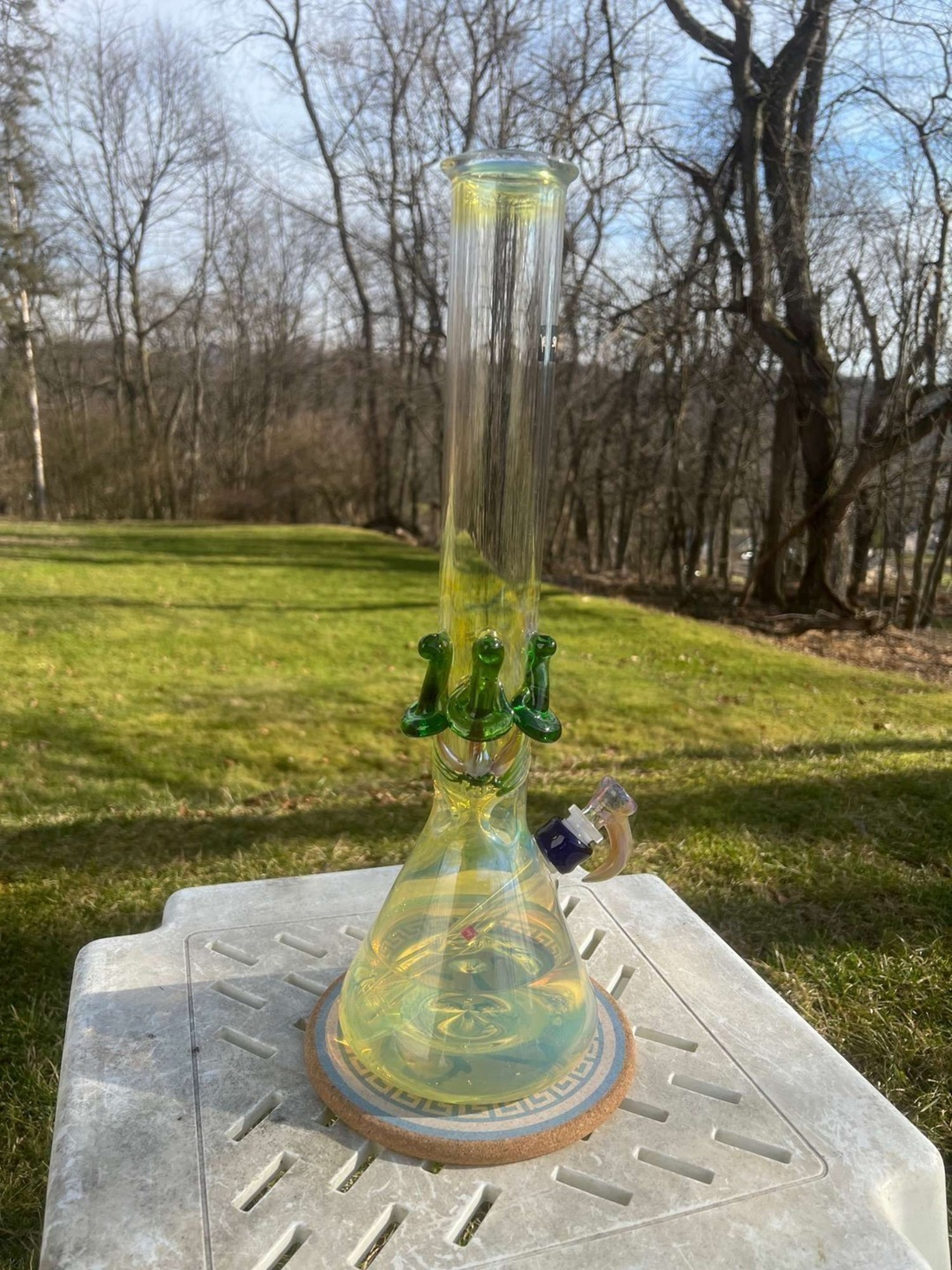 Skyglassinc roots & stems cfl beaker bong image 0