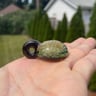 Small image 1