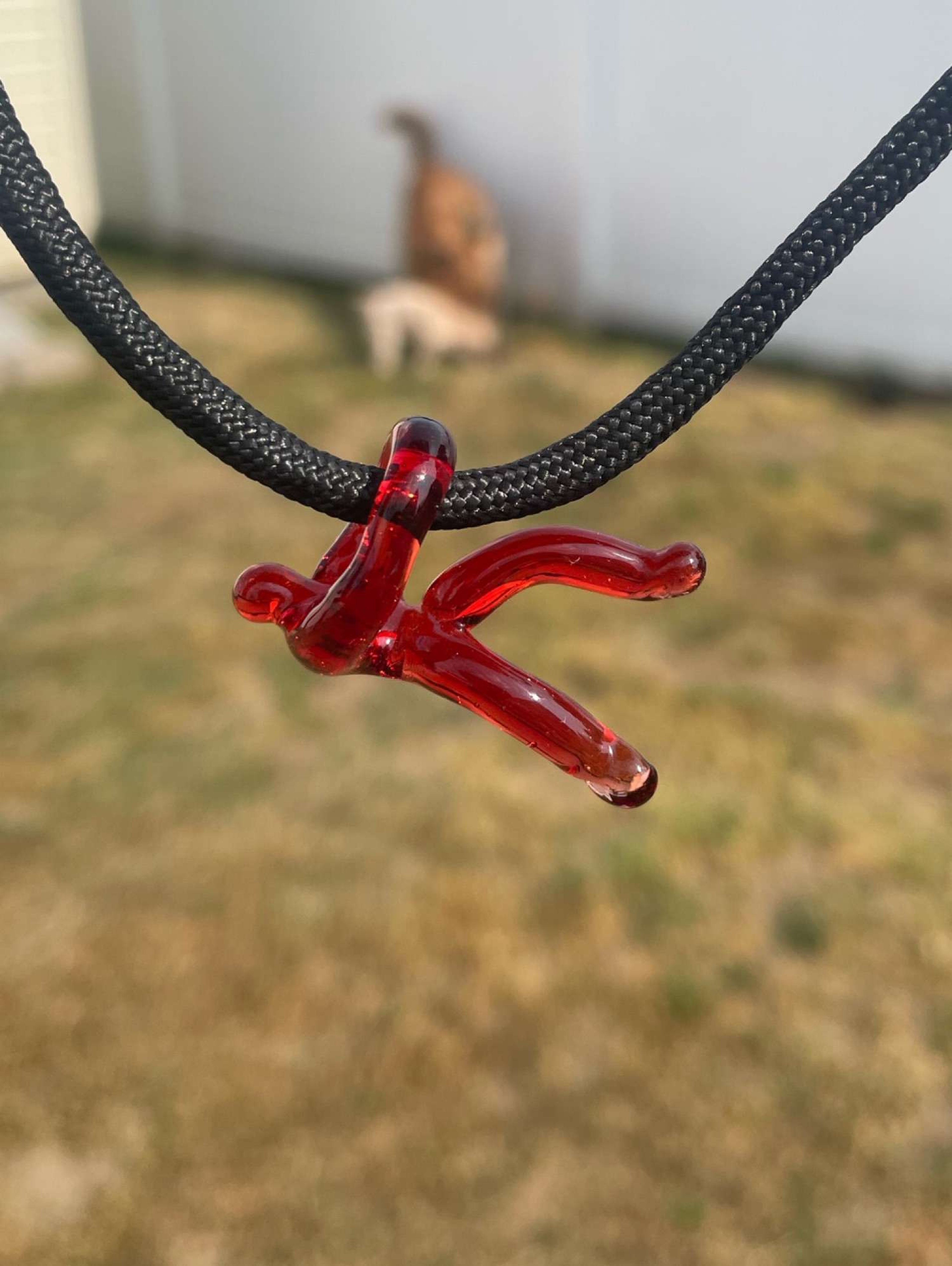 Preview pic of “Hangin’ in There” Pendant