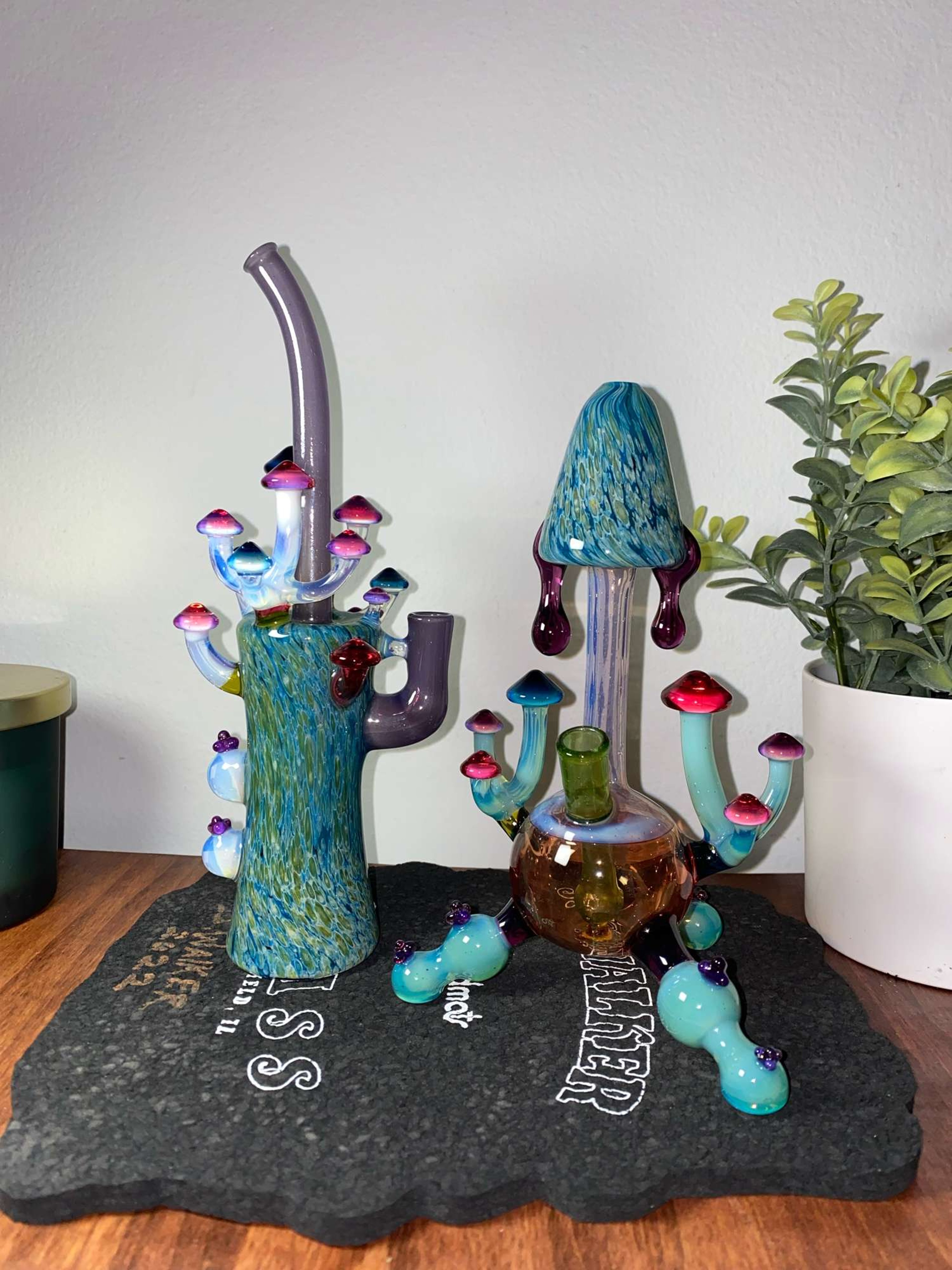 UPDATE!! 1/1 Jwalker mushroom rigs! image 0