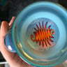 Small image 4