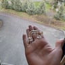 Small image 5