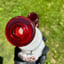 Small image 3