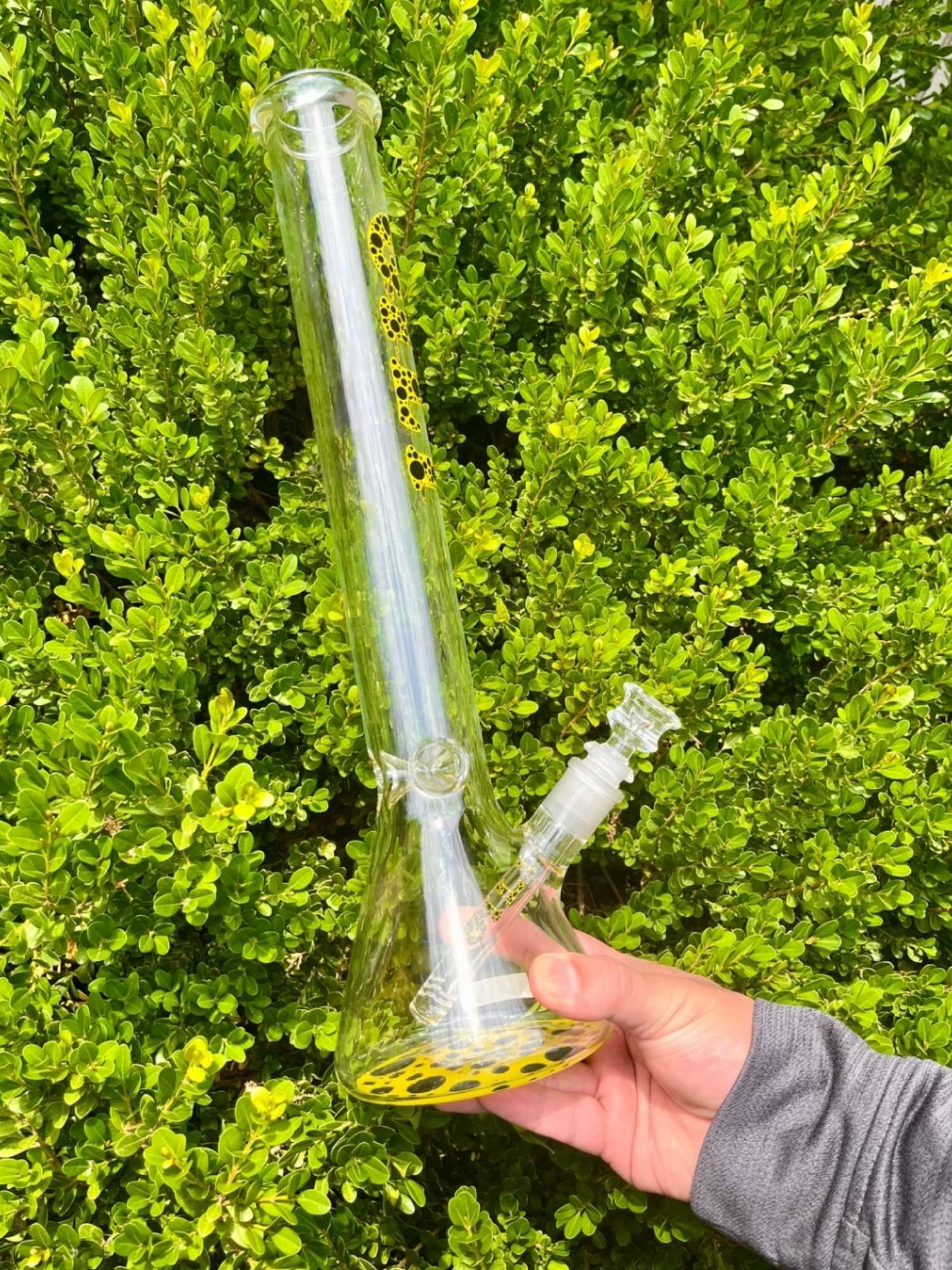 Beaker Bongs: The Ultimate Smoking Experience
image 0
