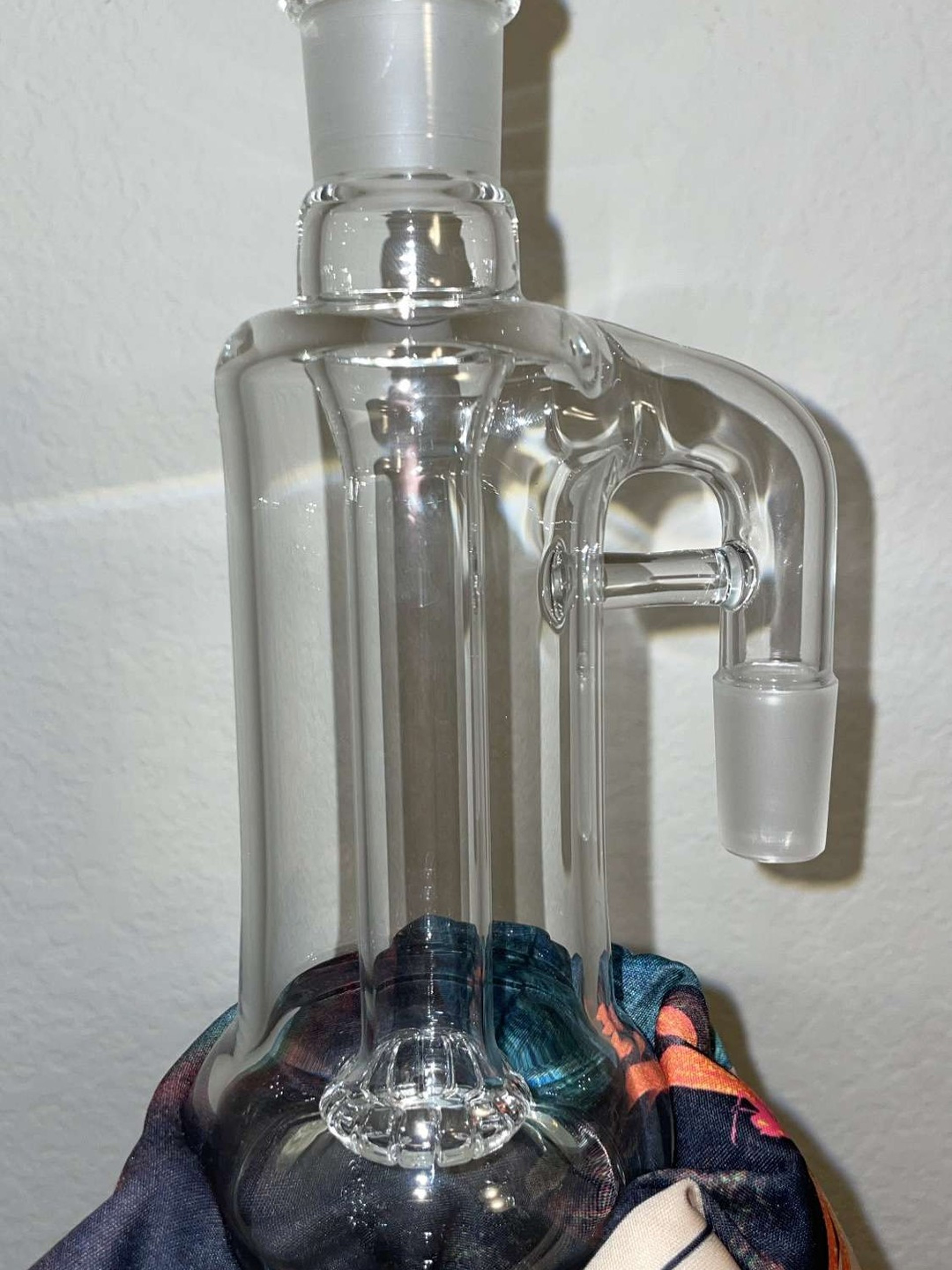 FISHBONE Custom Circ AC image 0