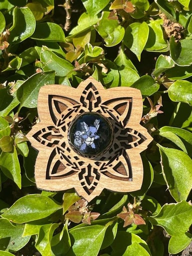 Preview pic of Jcreature marble with milli image wartortle