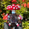 Small image 0