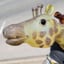 Small image 6