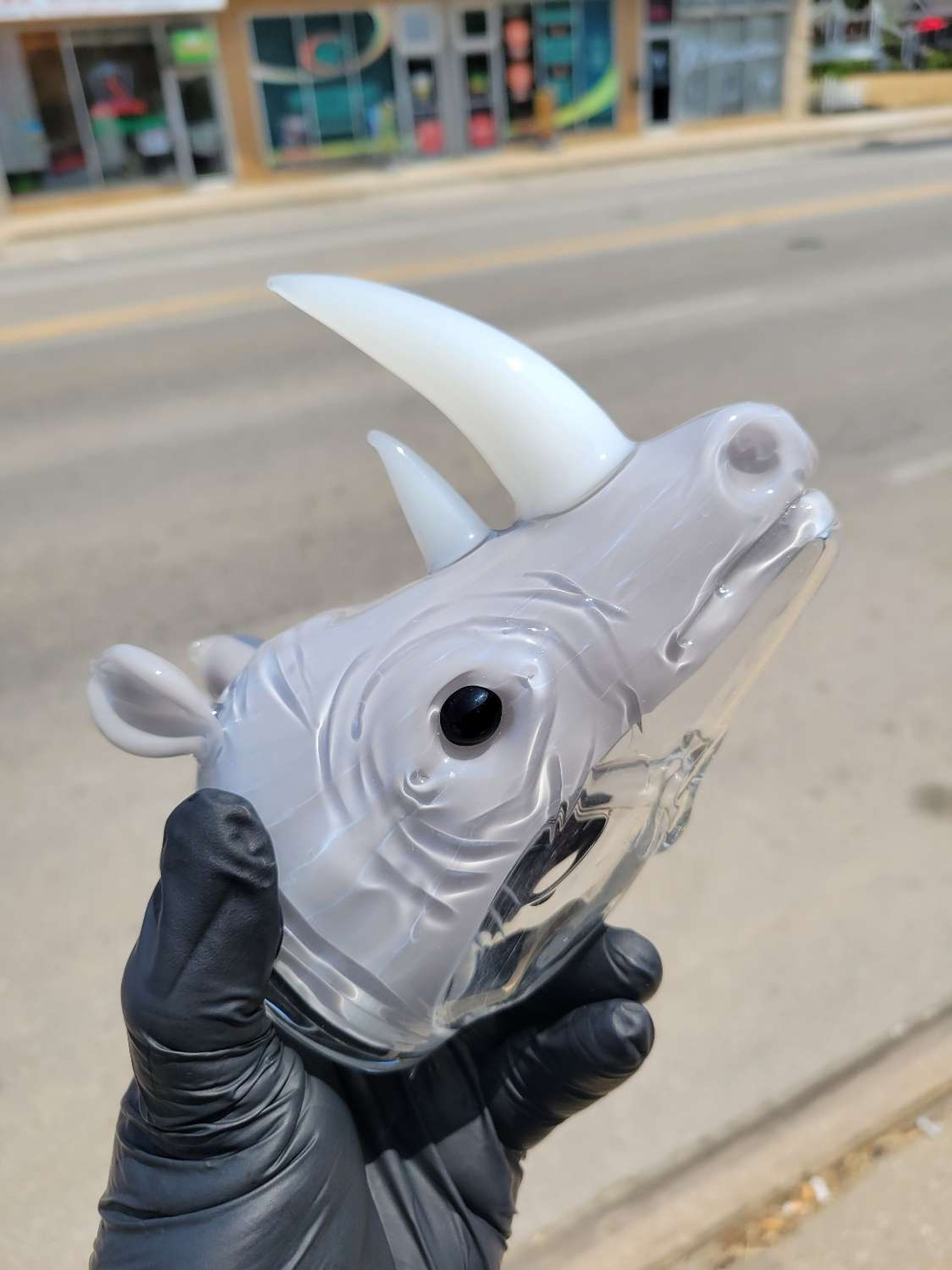 Addison Hanna Rhino image 0