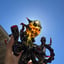 Small image 4