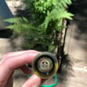 Small image 3