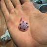 Small image 1
