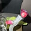 Small image 5