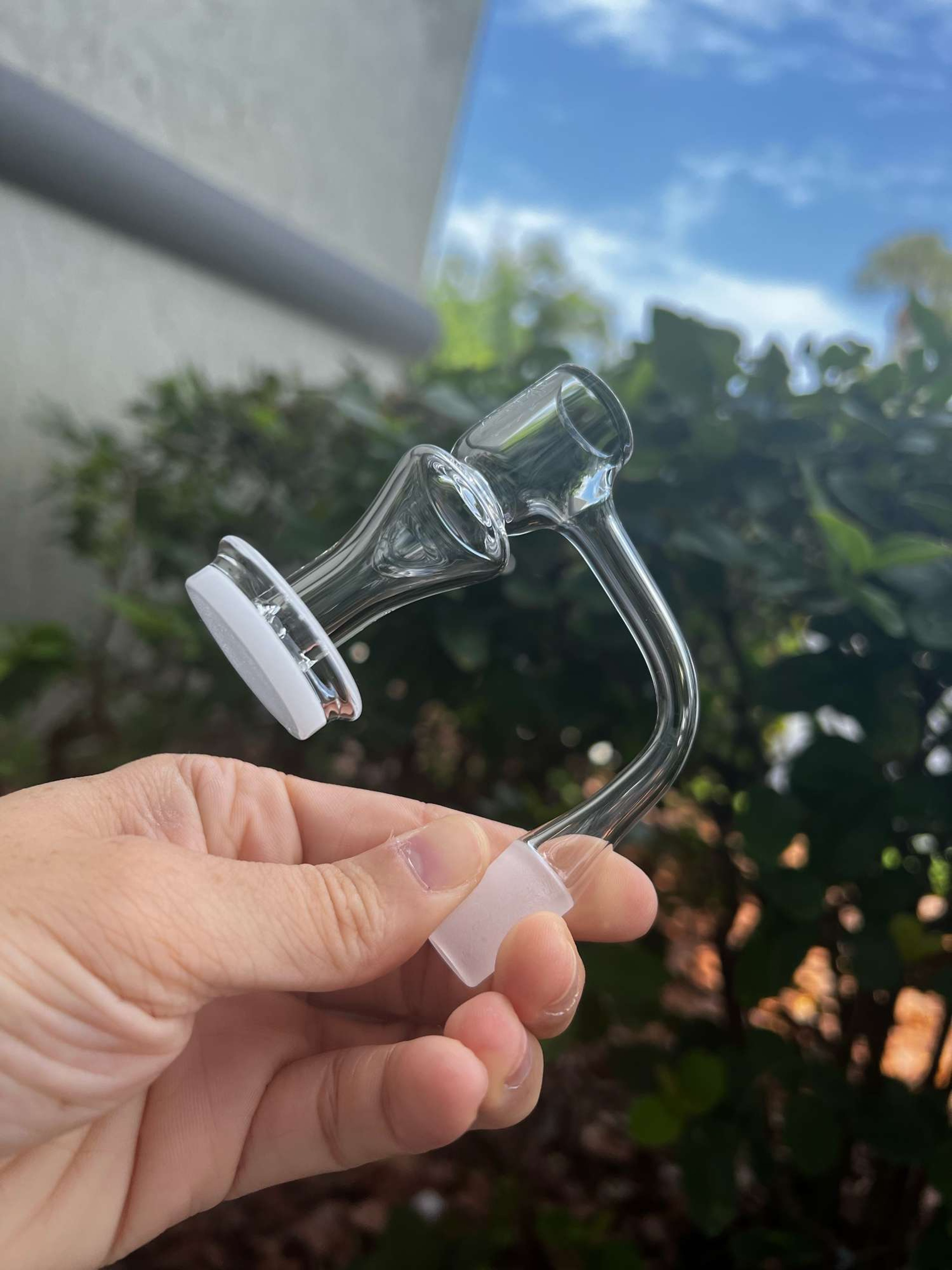 Preview pic of opaque pharoh