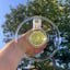 Small image 7