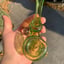 Small image 4