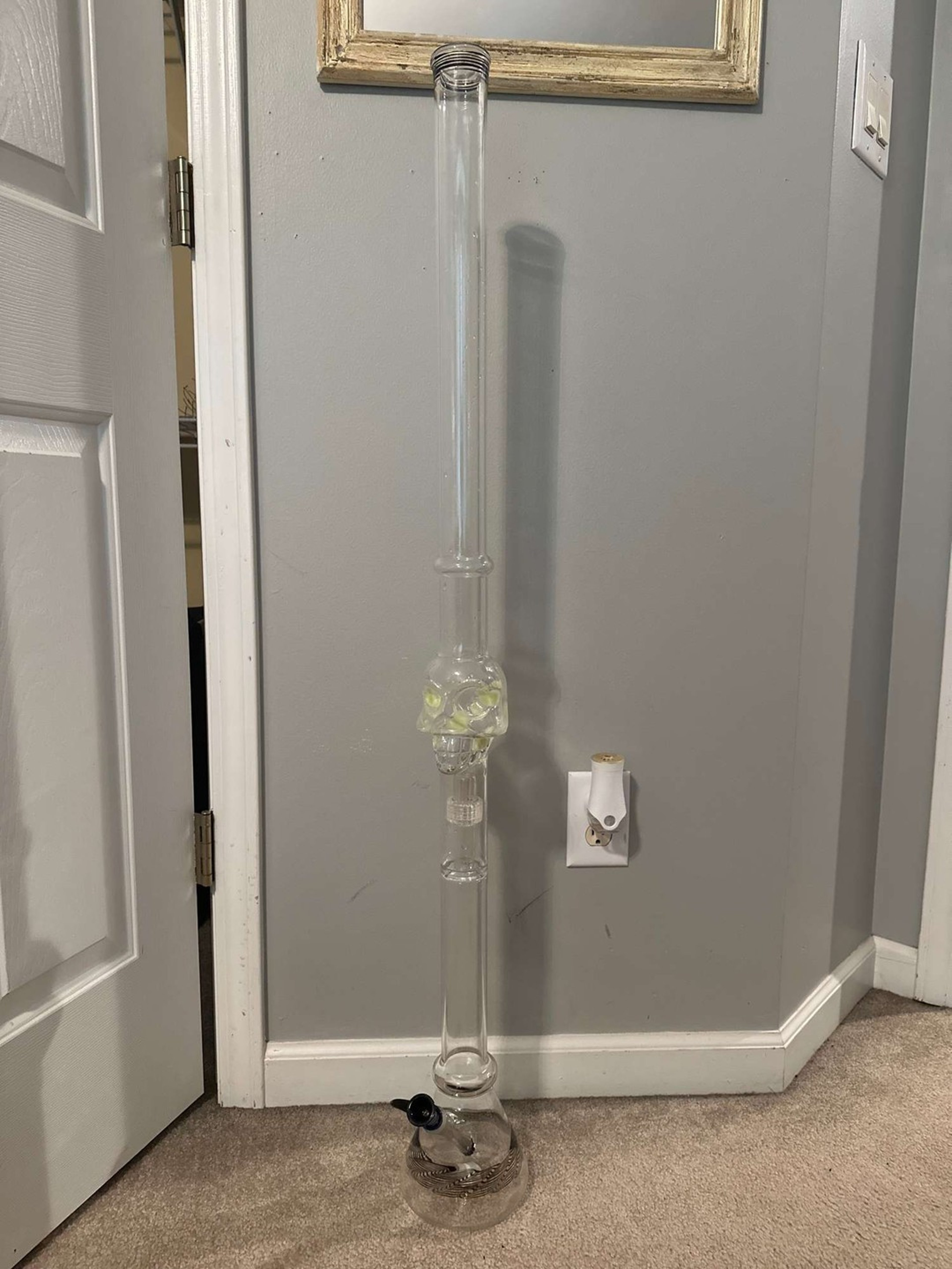 4 foot skull image 0