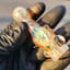 Small image 6